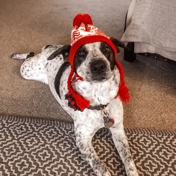 Meet your Posher, Katie - Picture 2 of 4